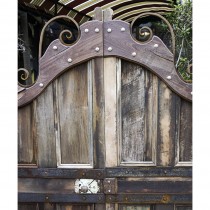 Entry Gate 01